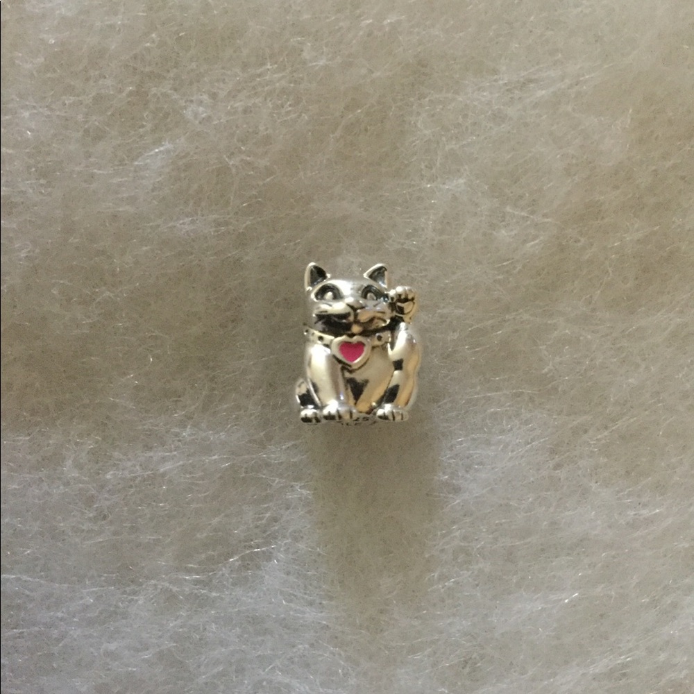 Pandora charm
